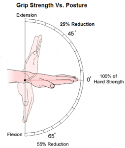Flex ext v hand strength updated 2015