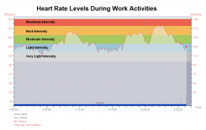 Heart Rate