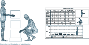 biomechanical modeling