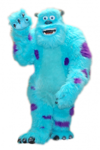 Sulley Pic